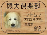 �I�[�i�[�́A�ă}�}����ł���